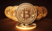委内瑞拉和土耳其承诺推动双边贸易额达到30亿美元